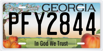 GA license plate PFY2844