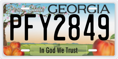 GA license plate PFY2849