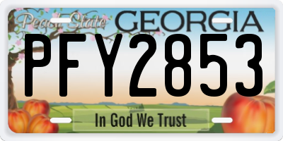 GA license plate PFY2853