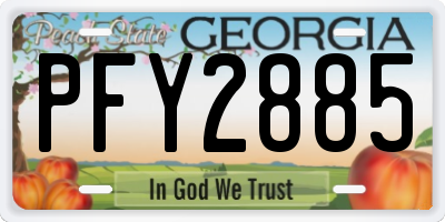 GA license plate PFY2885