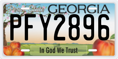 GA license plate PFY2896