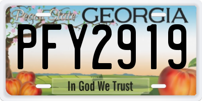 GA license plate PFY2919