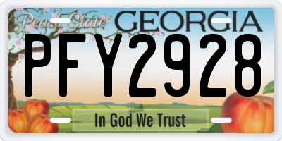 GA license plate PFY2928