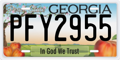 GA license plate PFY2955