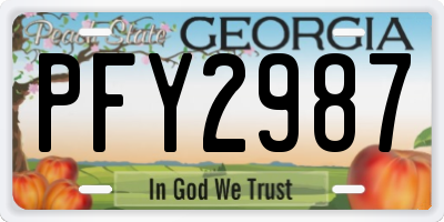 GA license plate PFY2987