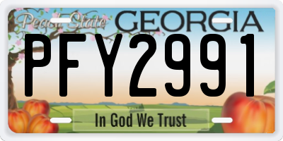 GA license plate PFY2991