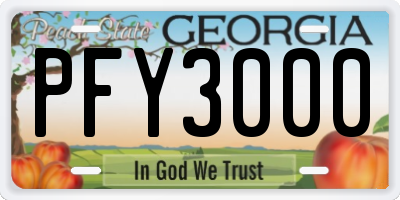 GA license plate PFY3000