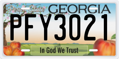 GA license plate PFY3021