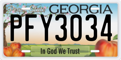 GA license plate PFY3034