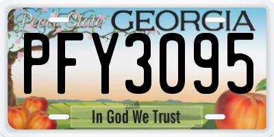 GA license plate PFY3095