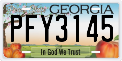 GA license plate PFY3145