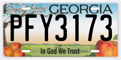 GA license plate PFY3173