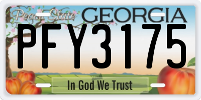 GA license plate PFY3175