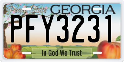 GA license plate PFY3231