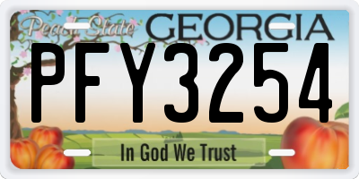 GA license plate PFY3254
