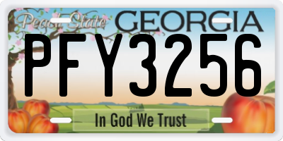 GA license plate PFY3256