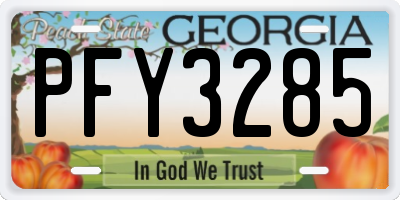 GA license plate PFY3285