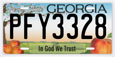 GA license plate PFY3328