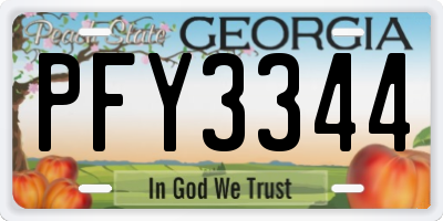 GA license plate PFY3344