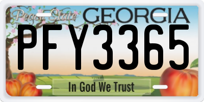 GA license plate PFY3365