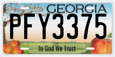 GA license plate PFY3375