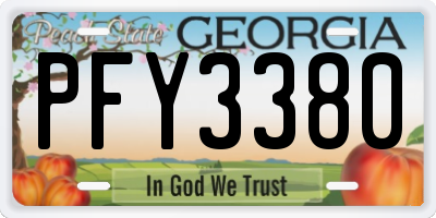 GA license plate PFY3380
