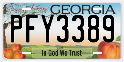 GA license plate PFY3389
