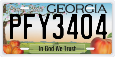 GA license plate PFY3404