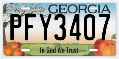 GA license plate PFY3407