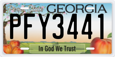 GA license plate PFY3441