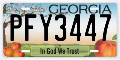 GA license plate PFY3447