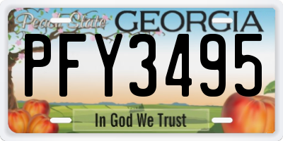 GA license plate PFY3495