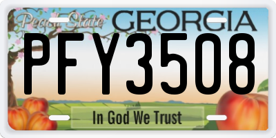 GA license plate PFY3508