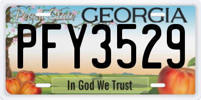 GA license plate PFY3529