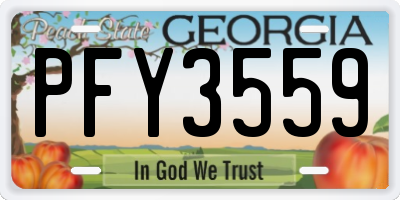 GA license plate PFY3559