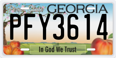 GA license plate PFY3614