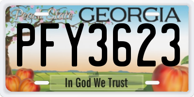 GA license plate PFY3623