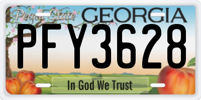 GA license plate PFY3628