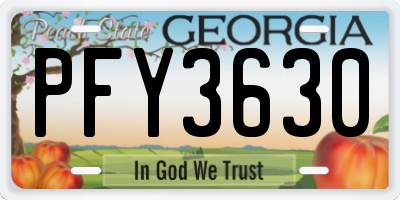 GA license plate PFY3630
