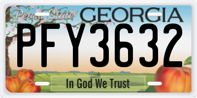 GA license plate PFY3632