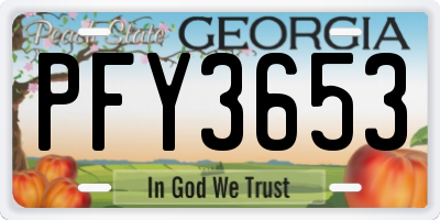 GA license plate PFY3653