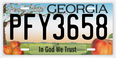 GA license plate PFY3658