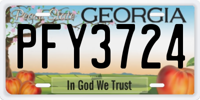 GA license plate PFY3724