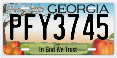 GA license plate PFY3745