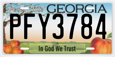 GA license plate PFY3784