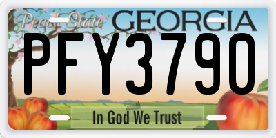 GA license plate PFY3790
