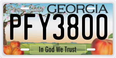 GA license plate PFY3800