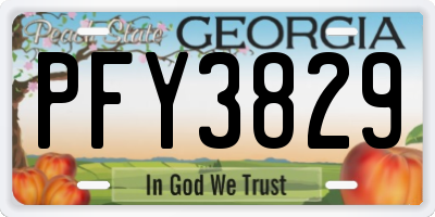 GA license plate PFY3829