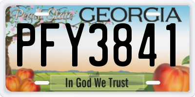 GA license plate PFY3841