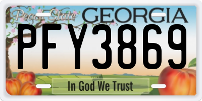GA license plate PFY3869